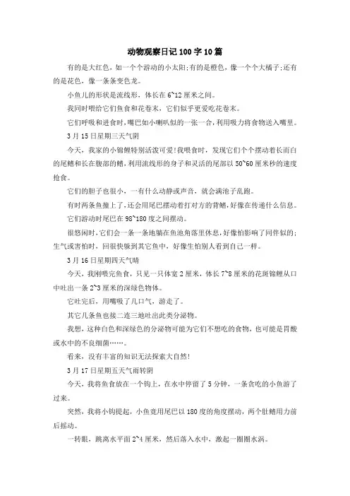 最新-动物观察日记100字10篇 精品