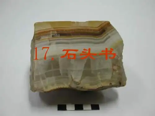 苏教版三年级上册石头书课件共11页文档