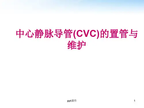 中心静脉导管的维护  ppt课件