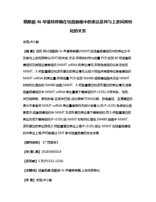 烟酰胺-N-甲基转移酶在结直肠癌中的表达及其与上皮间质转化的关系