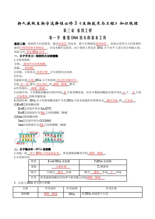 第3章  基因工程-【必背知识】高二生物章节知识清单(人教版选择性必修3)(教师版)