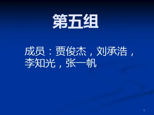 百事可乐CISPPT课件