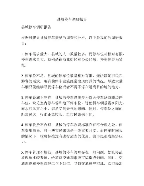 县城停车调研报告