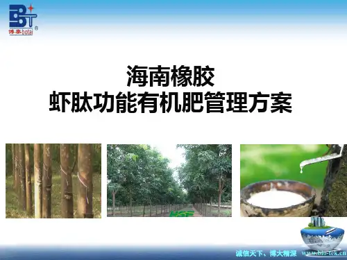 海南橡胶施肥管理方案