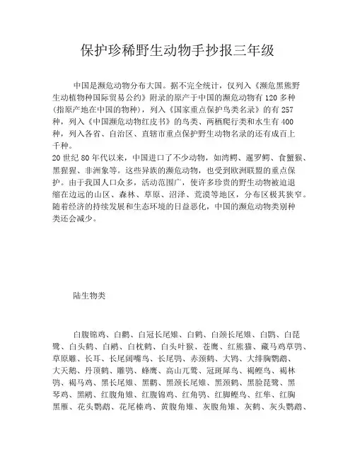 保护珍稀野生动物手抄报三年级