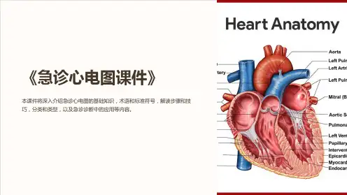 《急诊心电图课件》