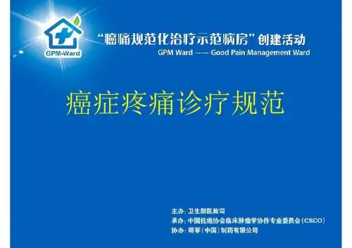 癌痛诊疗规范解读 ppt课件