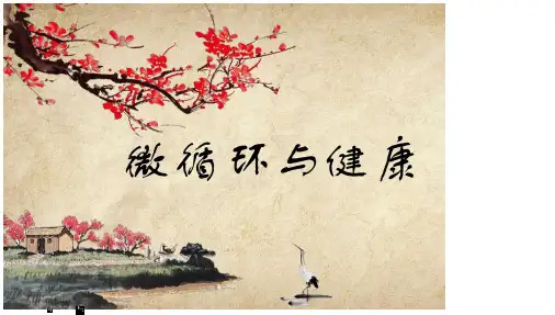 微循环与养生