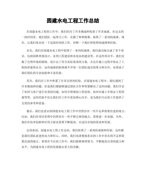 园建水电工程工作总结