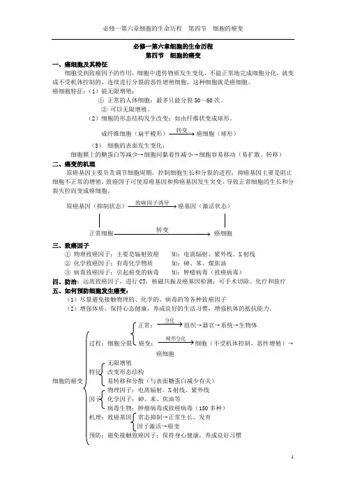 必修一第六章第四节细胞的癌变