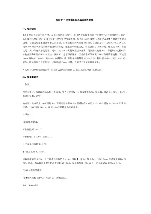 RNA提取、电泳注意事项