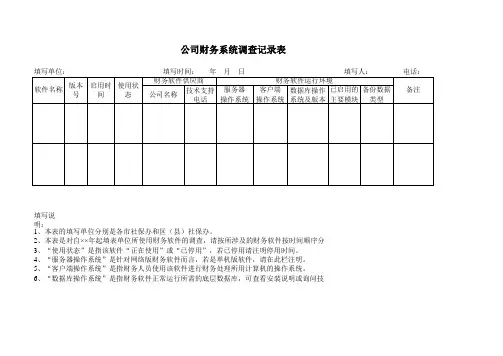 公司财务系统调查记录表(标准版)