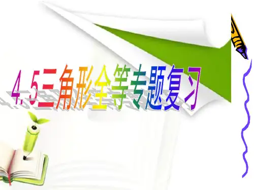 4.5 全等三角形专题复习 课件   21张PPT 北师大版七年级数学下册