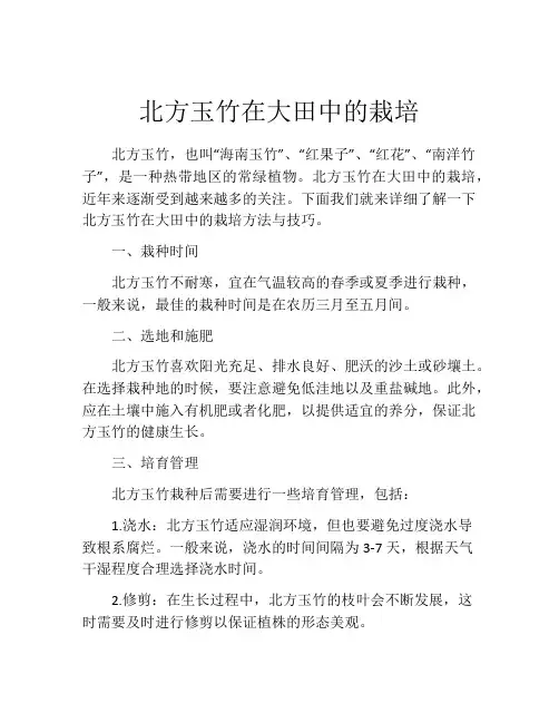 北方玉竹在大田中的栽培