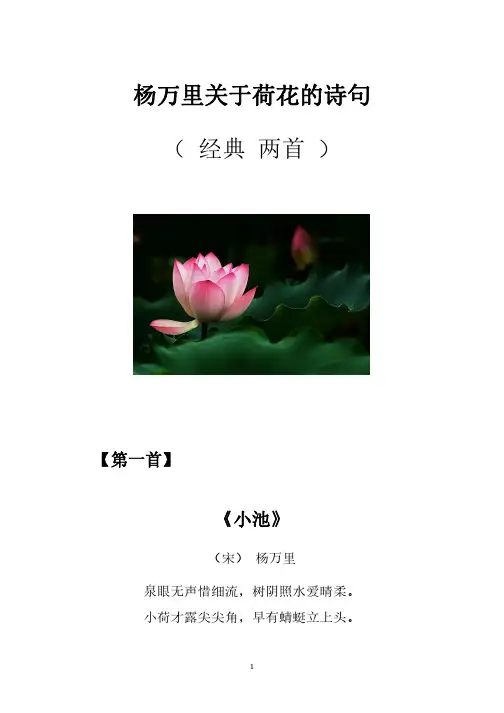 杨万里关于荷花的诗句