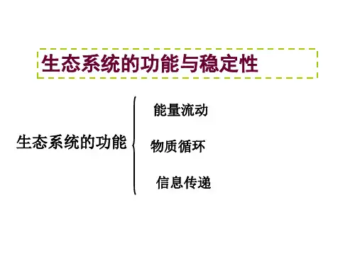 能量流动与物质循环的关系