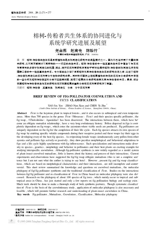 榕树-传粉者共生体系的协同进化与系统学研究进展及展望