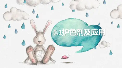 护色剂及其应用