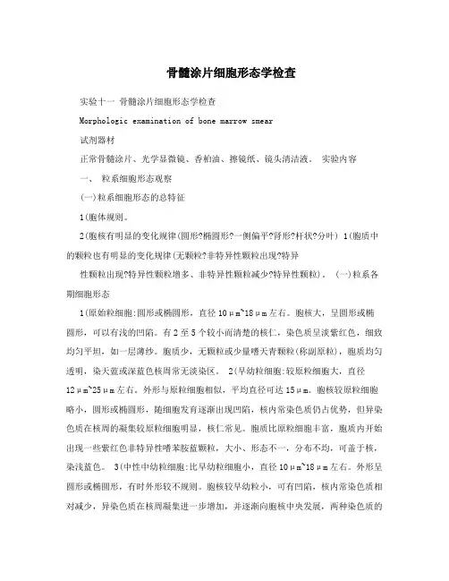 骨髓涂片细胞形态学检查