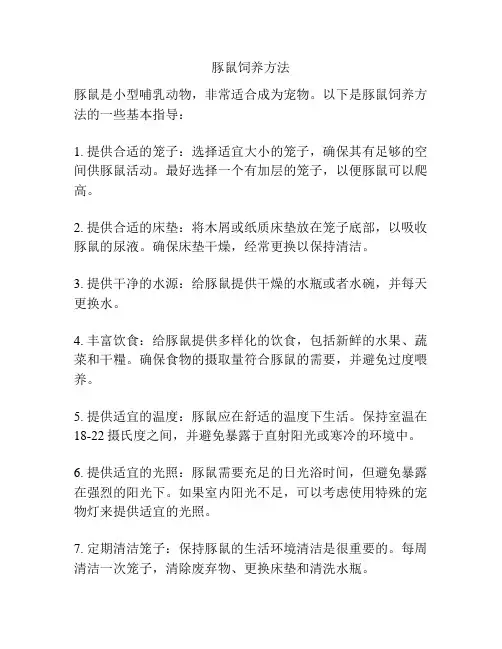 豚鼠饲养方法