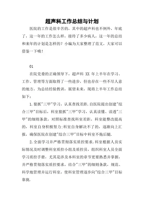 超声科工作总结与计划