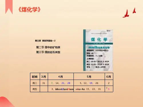 《煤化学》讲稿03章-煤岩学基础