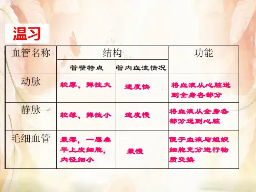 输送血液的泵——心脏PPT课件37 人教版