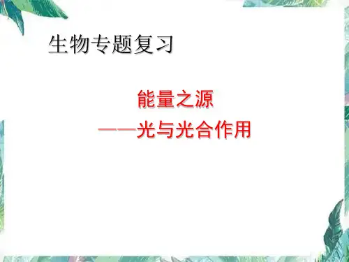生物专题复习 光合作用 优质复习课件