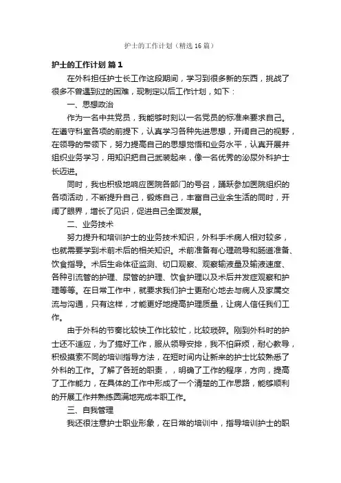 护士的工作计划（精选16篇）