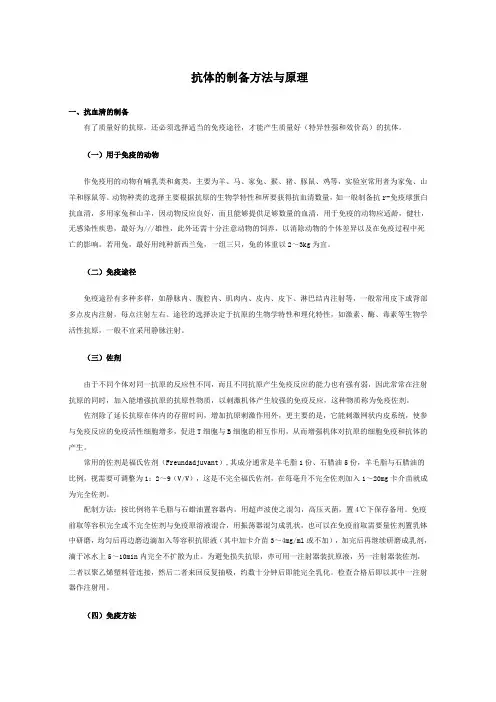 抗体的制备方法与原理