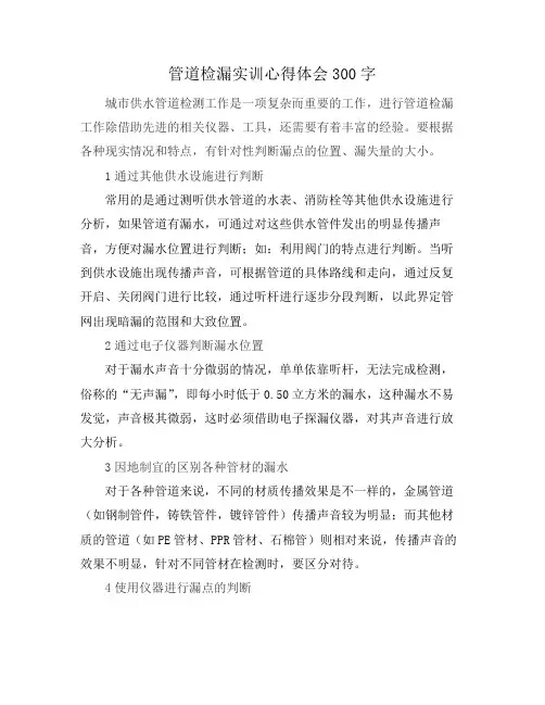 管道检漏实训心得体会300字