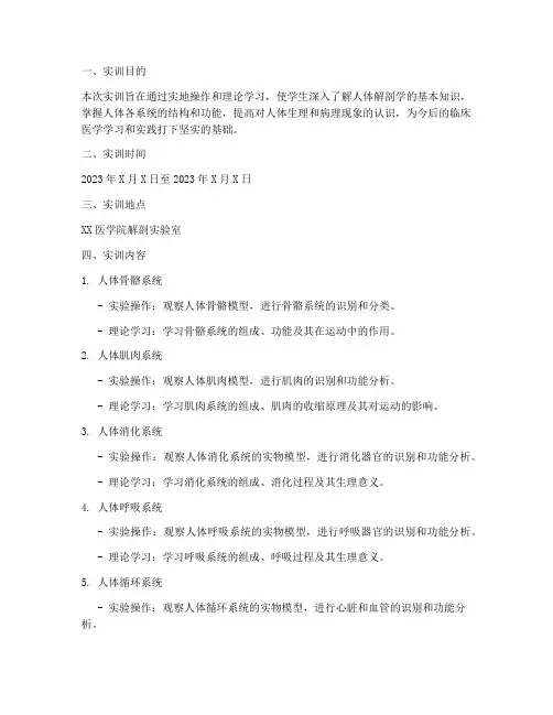 正常人体学实训报告答案
