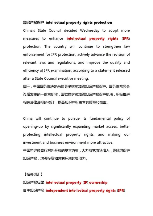 知识产权保护 intellectual property rights protection
