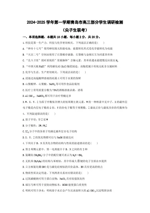 山东省青岛市部分学生2024-2025学年高三上学期调研检测(尖子生联考) 化学试题(含答案)