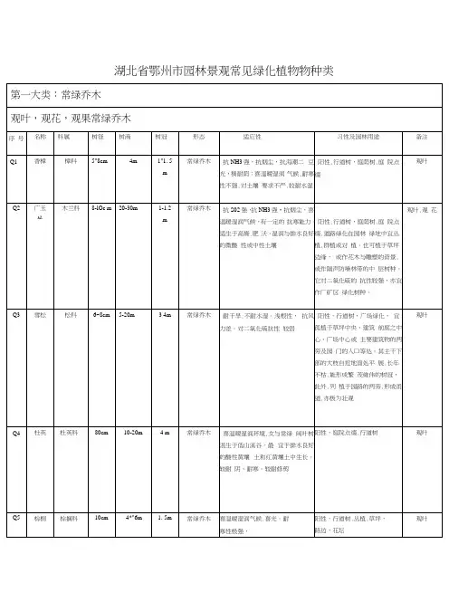 园林景观常见绿化植物归纳表