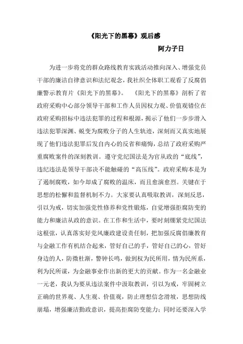 阳光下的“黑幕”观后感