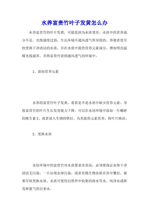 水养富贵竹叶子发黄怎么办