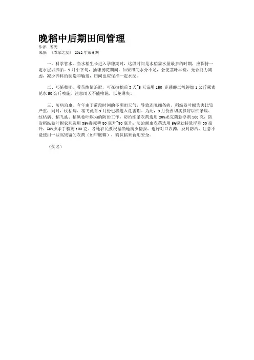 晚稻中后期田间管理