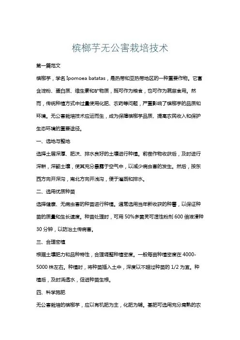 槟榔芋无公害栽培技术
