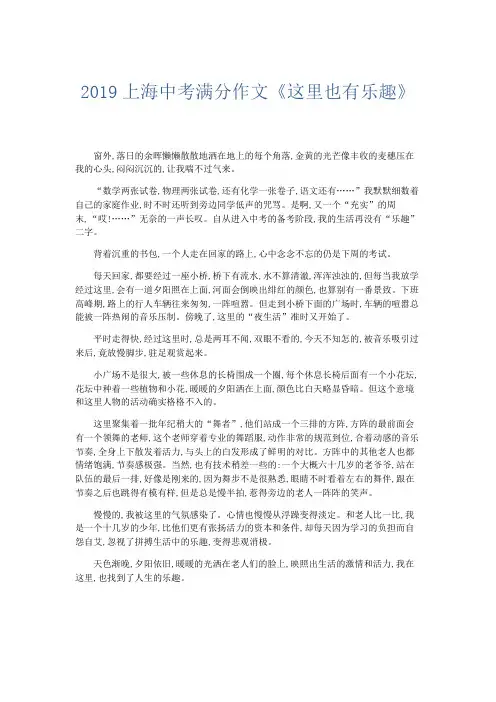 初中作文 2019上海中考满分作文《这里也有乐趣》-精品