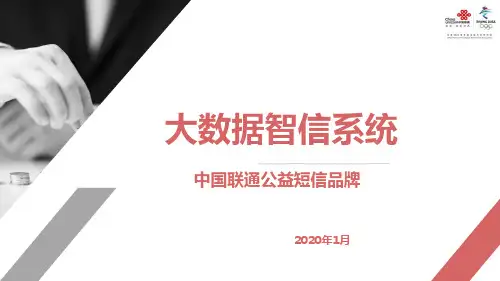 大数据标准产品-智信平台
