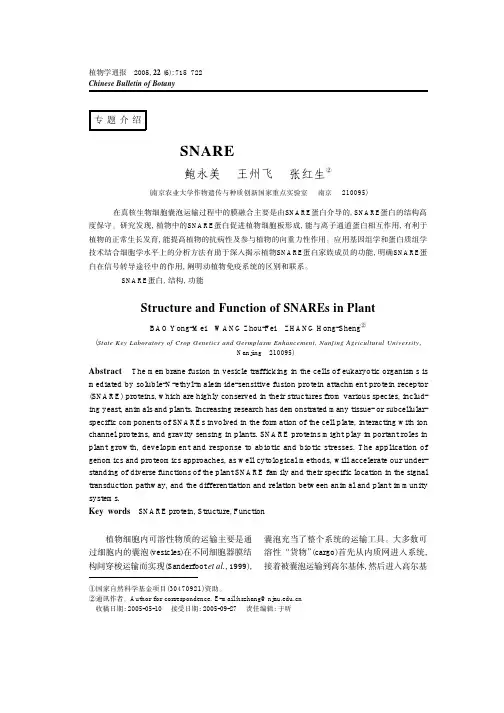 植物SNARE 蛋白的结构与功能