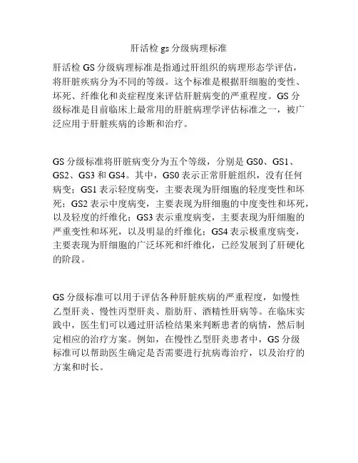 肝活检gs分级病理标准