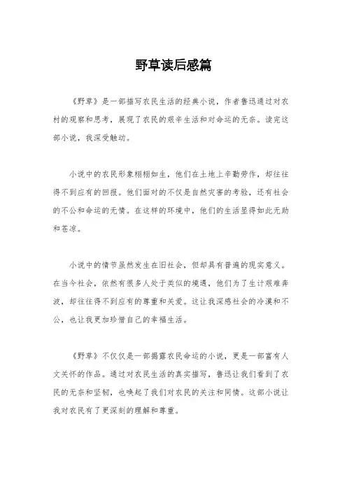 野草读后感篇