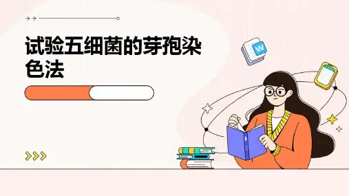 试验五细菌的芽孢染色法