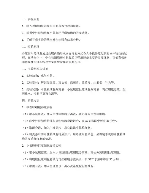 吞噬实验报告