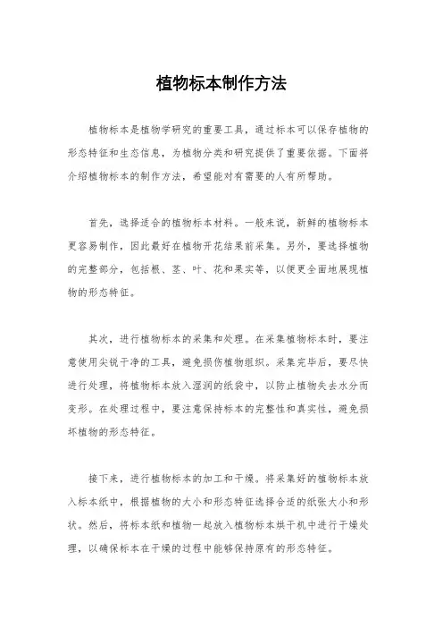植物标本制作方法
