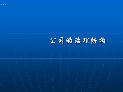 某公司的治理结构概要(ppt 148页)