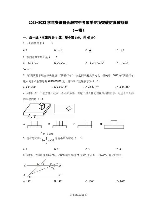 2022-2023学年安徽省合肥市中考数学专项突破仿真模拟卷(一模二模)含答案