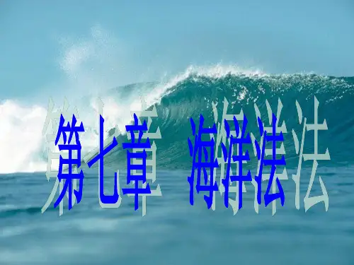 国际法第七章